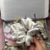 Eid Box - Image 3